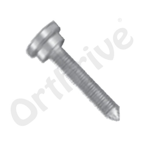 Adult DHS Screw (with compression Screw)