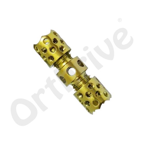 EXPANDABLE CAGE