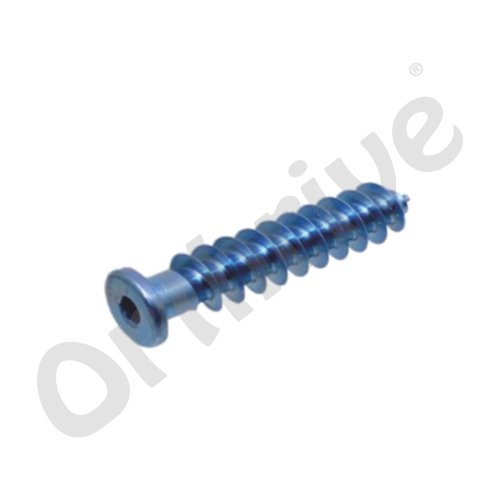 Low Profile Cencellous Screw