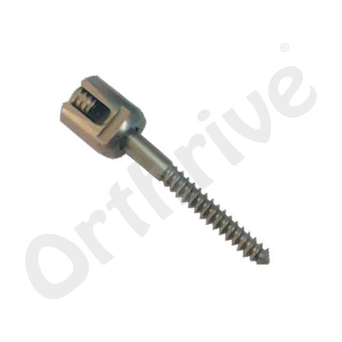 MINI POLYAXIAL SCREW LONG SAFT
