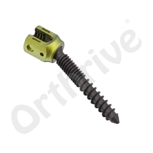 POLYAXIAL DUAL THREAD SCREW 5.5mm